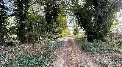 Martin LINCOLNSHIRE
