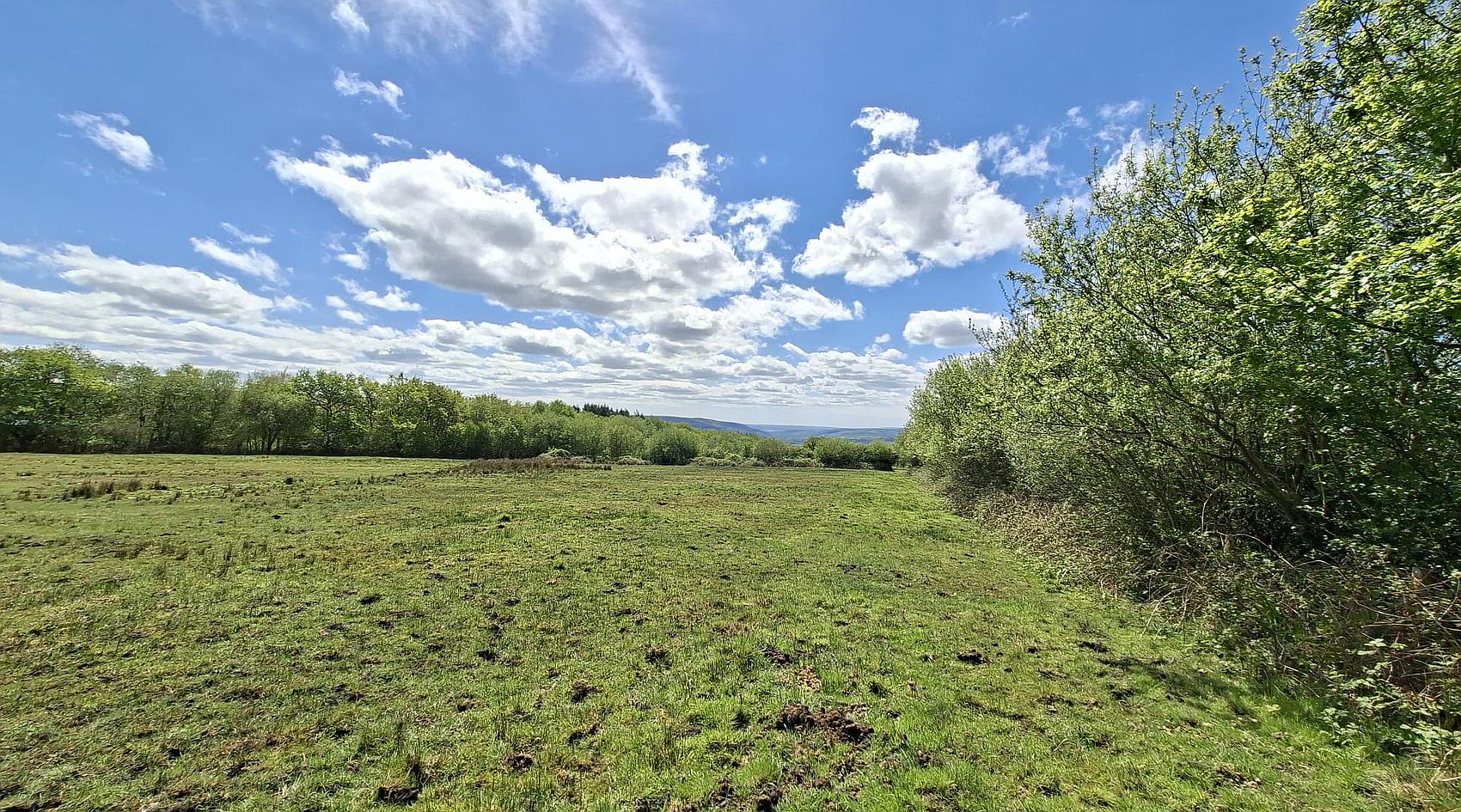 Ammanford CARMARTHENSHIRE