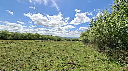 Ammanford CARMARTHENSHIRE
