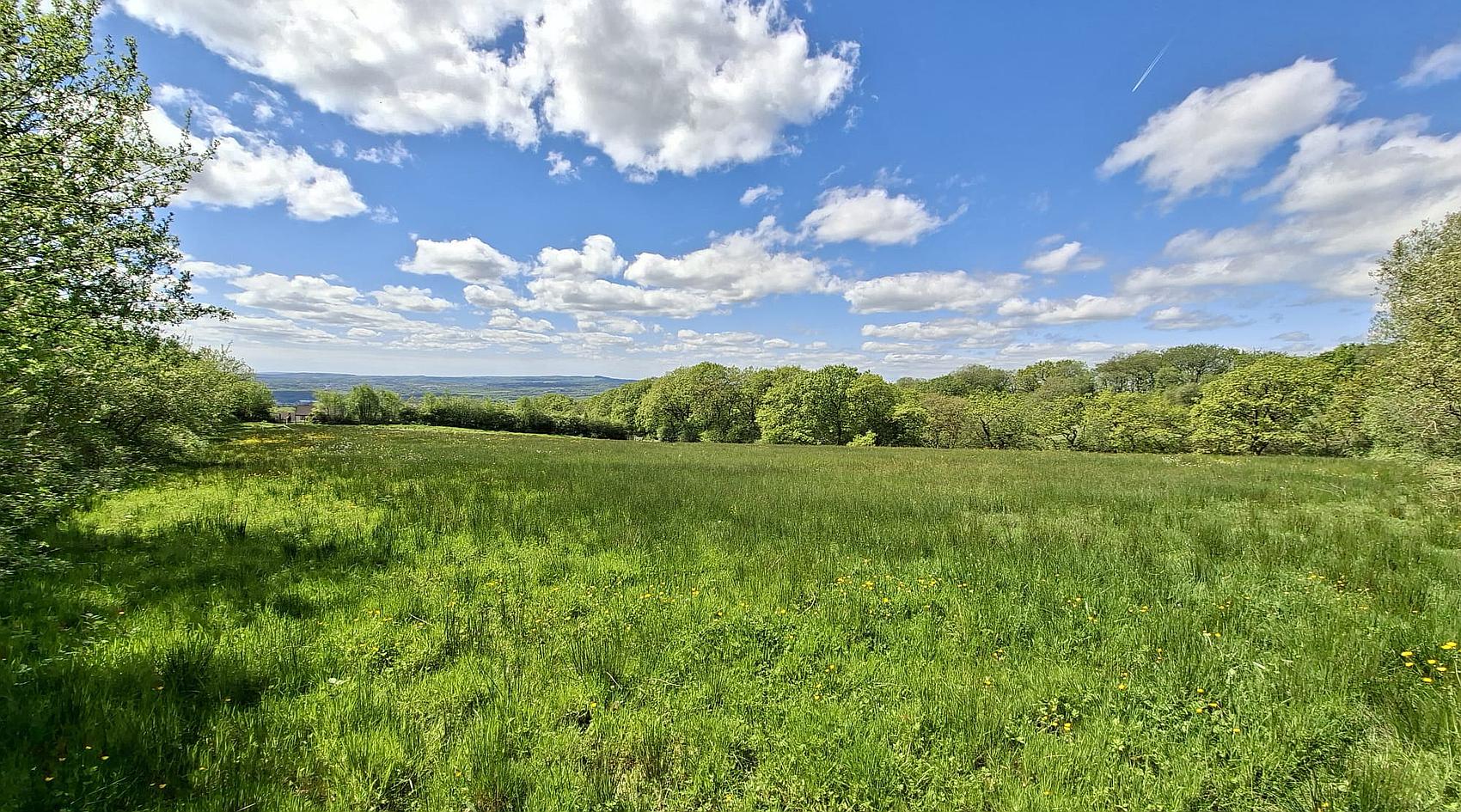 Ammanford CARMARTHENSHIRE