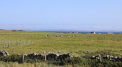 Papa Stour SHETLAND