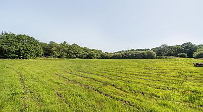 Mynyddcerrig CARMARTHENSHIRE