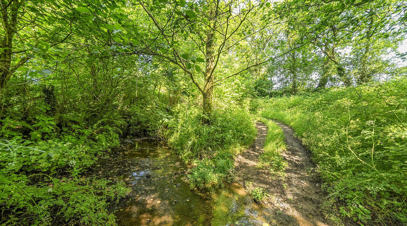 Mynyddcerrig CARMARTHENSHIRE