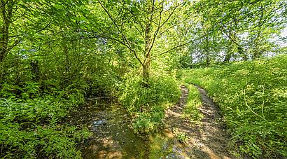 Mynyddcerrig CARMARTHENSHIRE