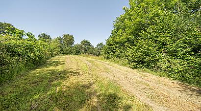 Mynyddcerrig CARMARTHENSHIRE