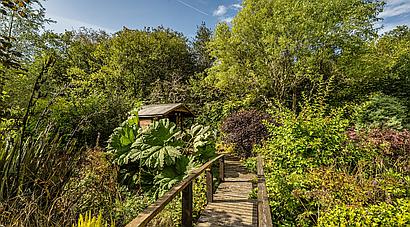 Gwernogle CARMARTHENSHIRE