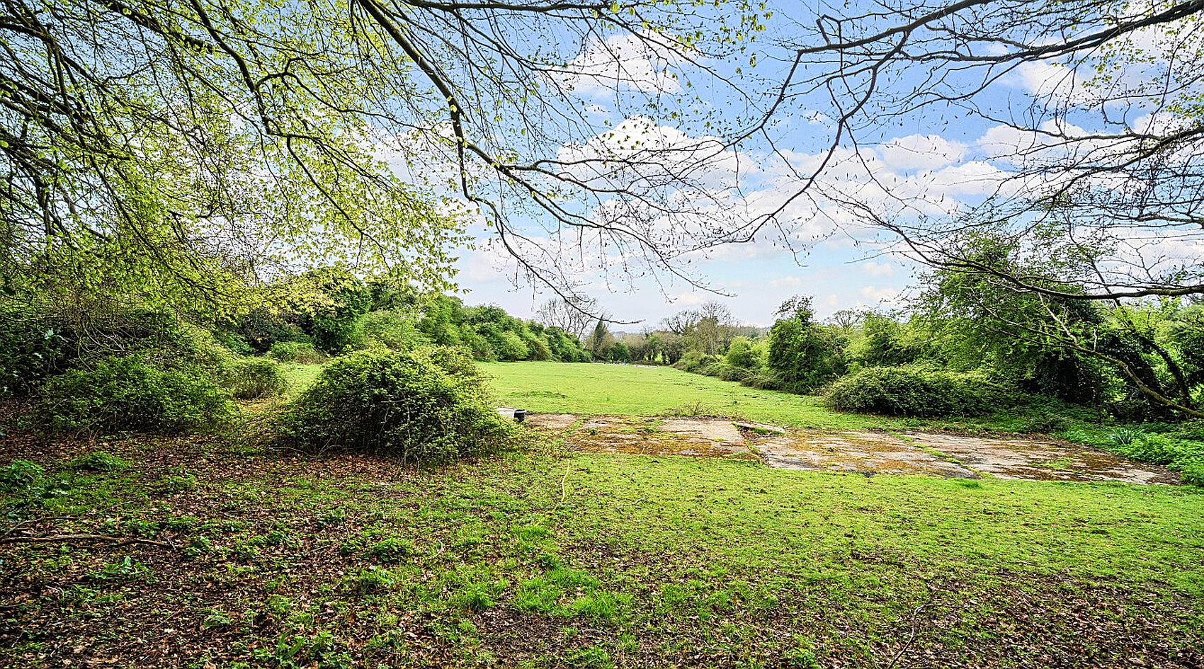 Alton HAMPSHIRE