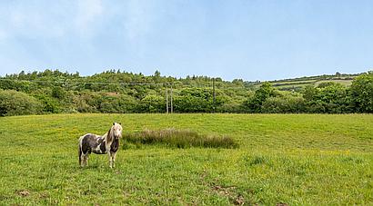 Llanelli CARMARTHENSHIRE