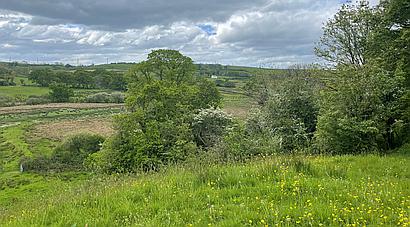 St Clears CARMARTHENSHIRE