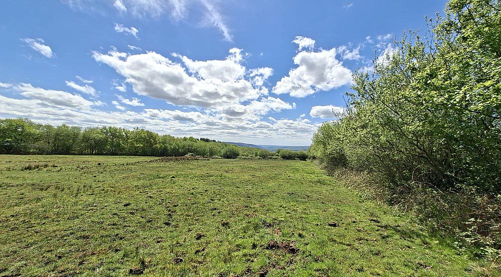 Ammanford CARMARTHENSHIRE