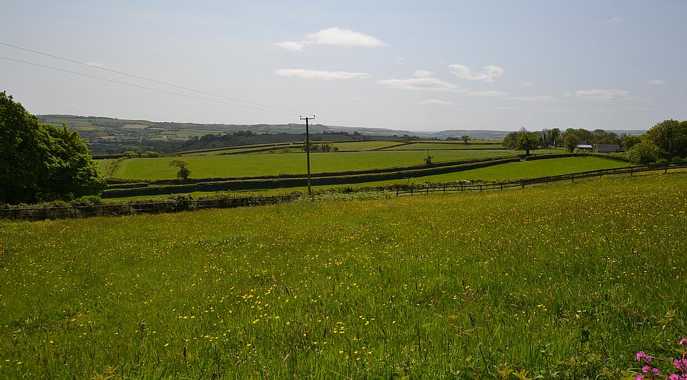 Bancyfelin CARMARTHENSHIRE