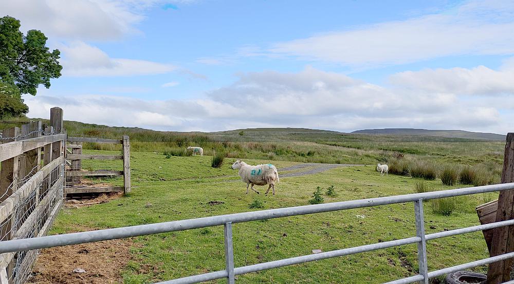 Upper Brynamman CARMARTHENSHIRE