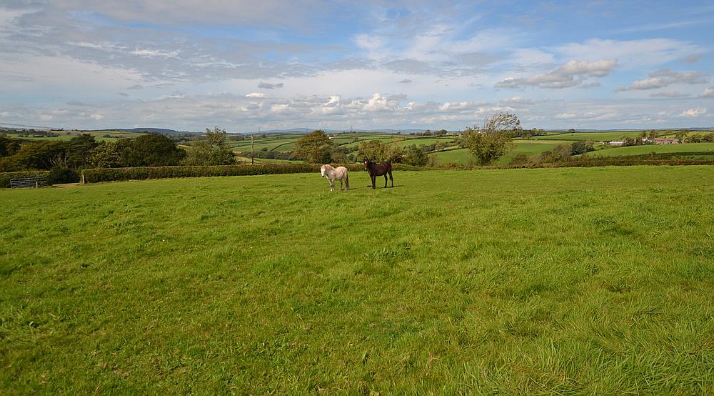 Laugharne CARMARTHENSHIRE