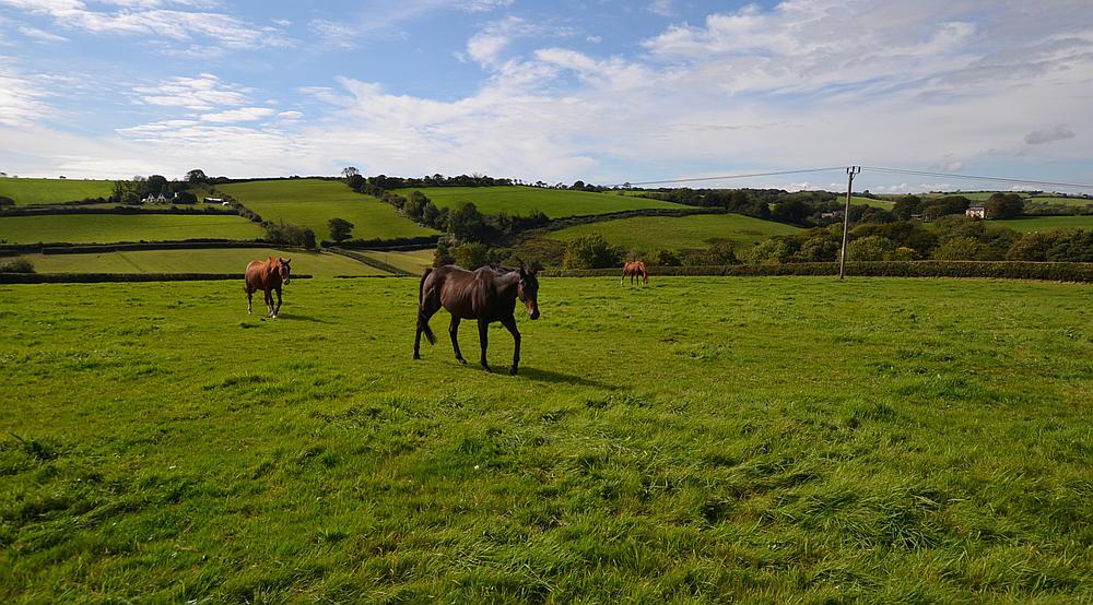 Laugharne CARMARTHENSHIRE