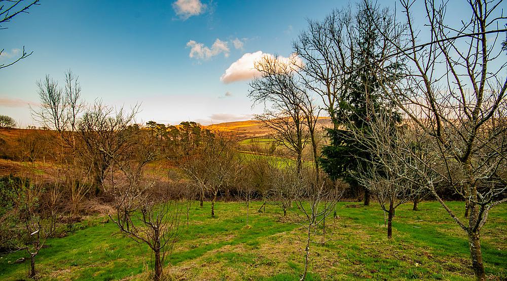 Llandyfan CARMARTHENSHIRE