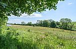 Tavernspite PEMBROKESHIRE