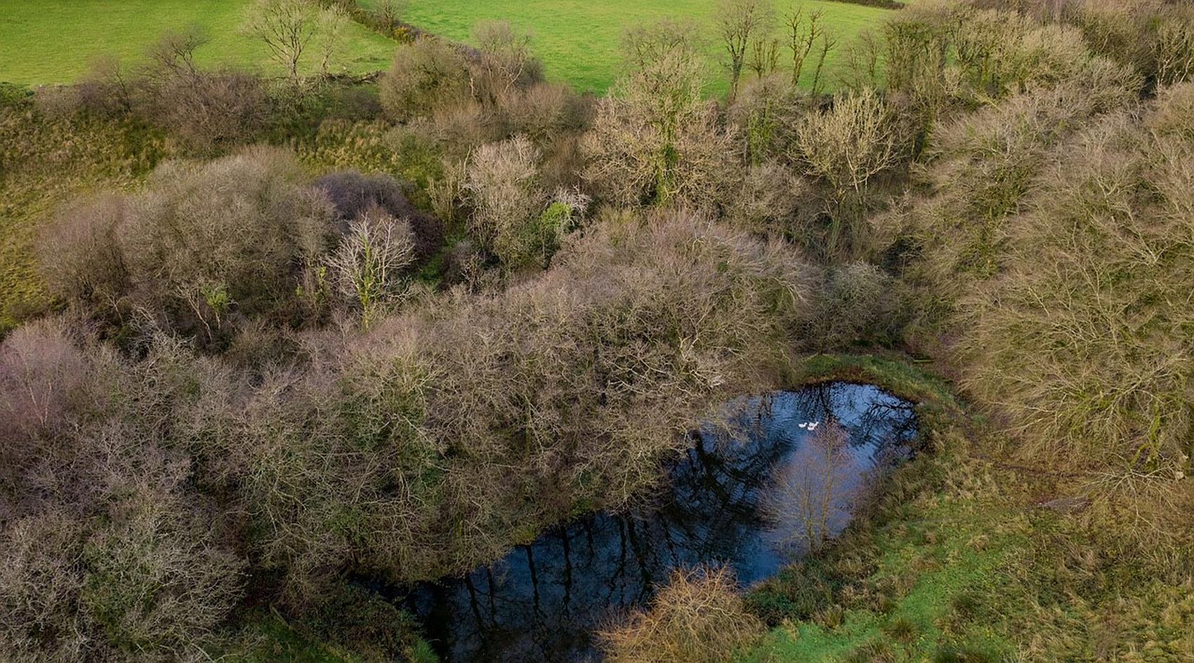 Dihewyd CEREDIGION