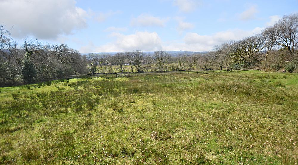 Ammanford CARMARTHENSHIRE