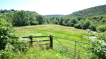 Gwernogle CARMARTHENSHIRE