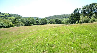Gwernogle CARMARTHENSHIRE