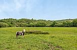 Llanelli CARMARTHENSHIRE