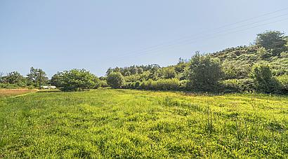 Llandovery CARMARTHENSHIRE